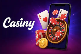 Discover the Exclusive Benefits of the Casiny VIP Program 32 Discover the Exclusive Benefits of the Casiny VIP Program 32