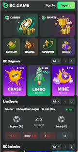 Exploring BC.Game The Ultimate Online Gaming Experience