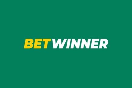 Insights and Analysis on the Betwinner Sportsbook Insights