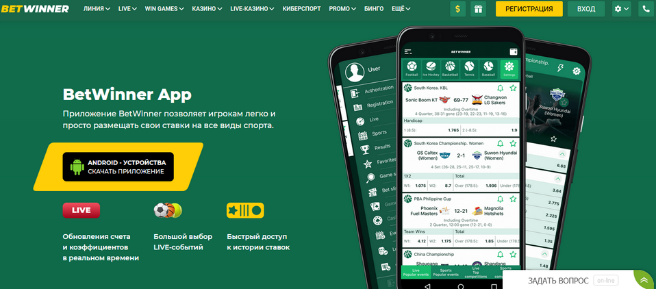 Insights and Analysis on the Betwinner Sportsbook Insights